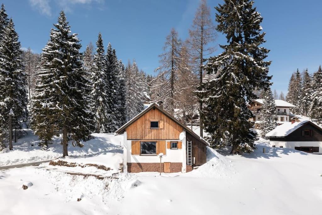 Gemuetliche Huette In Den Bergen Villa Sonnenalpe Nassfeld Kültér fotó