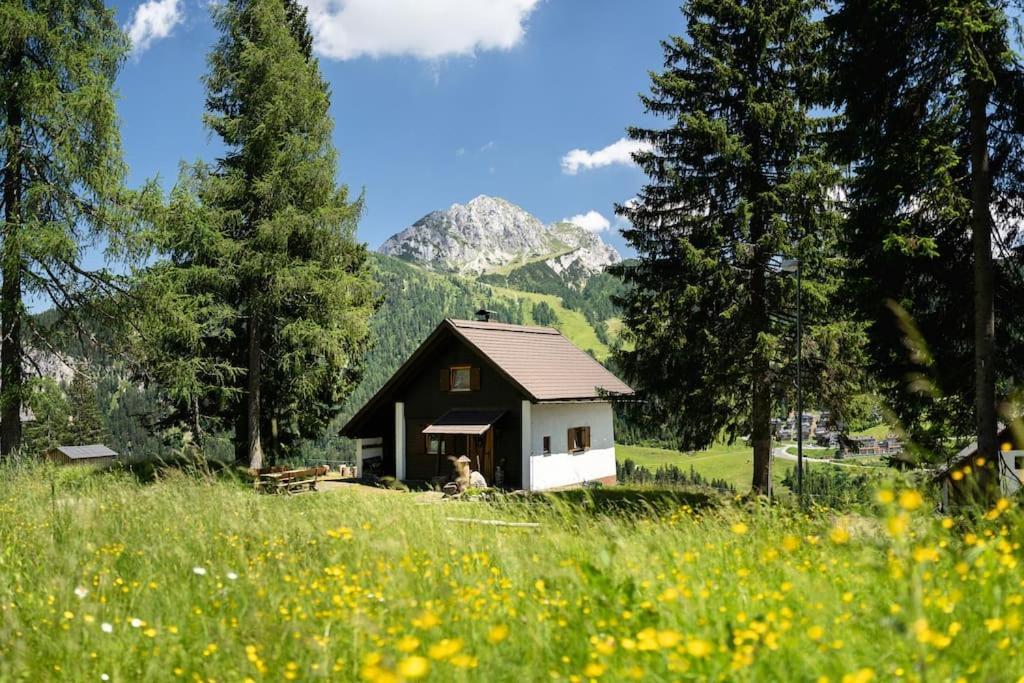Gemuetliche Huette In Den Bergen Villa Sonnenalpe Nassfeld Kültér fotó